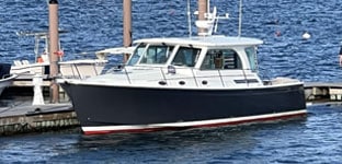 Back Cove 41 HT Express 2019