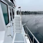 Helmsman Trawler 46 Pilothouse Exterior